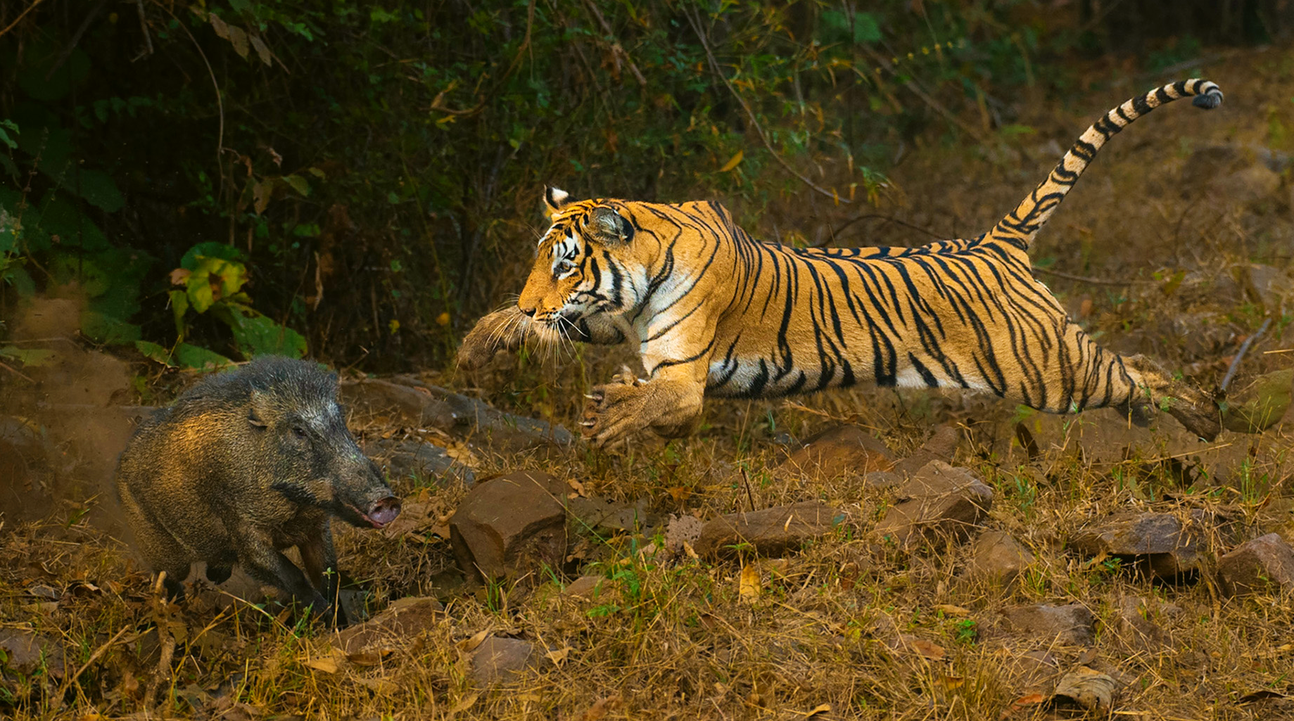 Cost of Delay (CoD): Financial impact of time | Toby Elwin